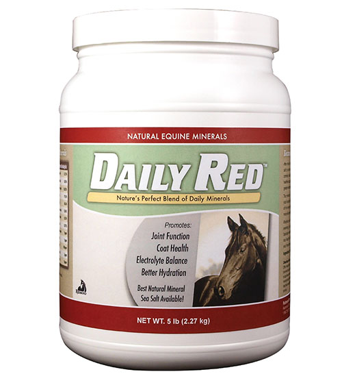 Daily Red Sea Salt - Global Endurance Training Center