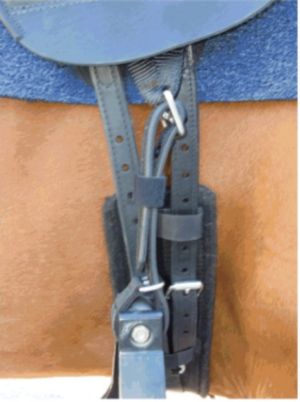 G3 Endurance attachment