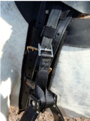 G4 Endurance attachment