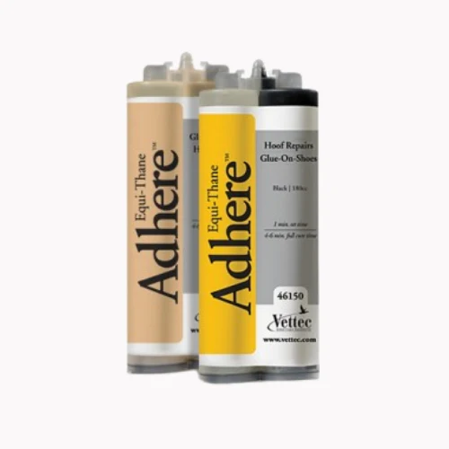 Horse Supplements