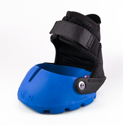 Easyboot Glove