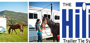 HiTie Trailer Tie System