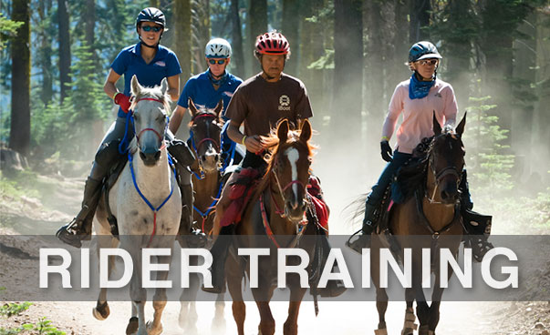 Training & Conditioning Log